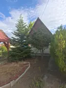 Pest megye - Kóka