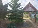 Pest megye - Kóka